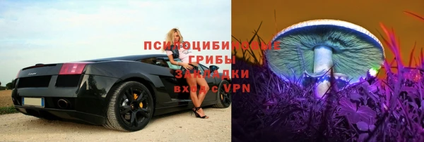 эйфоретик Абинск