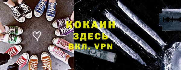 шишки Осташков