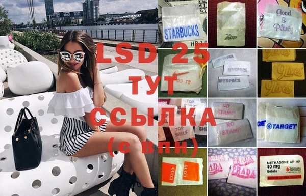 PSILOCYBIN Абаза