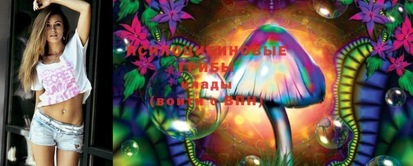 эйфоретик Абинск