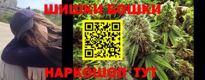 крисы Партизанск