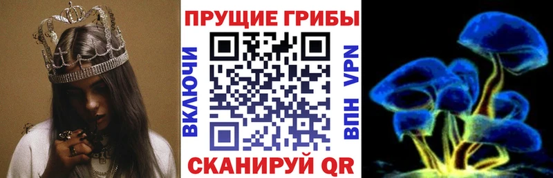 Псилоцибиновые грибы Magic Shrooms Холмск