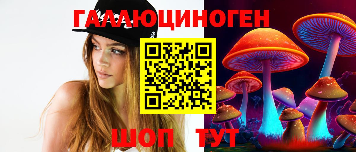 купить  сайты  Вход с VPN  Холмск  Псилоцибиновые грибы MAGIC MUSHROOMS  Псилоцибиновые грибы Magic Shrooms 