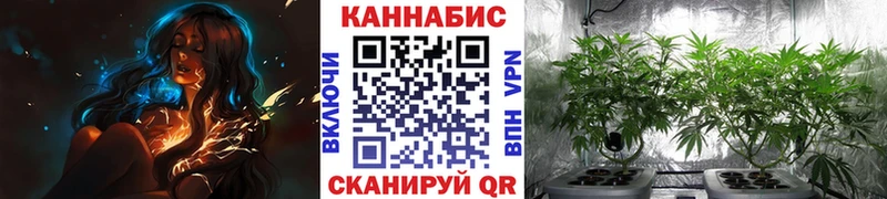 магазин продажи наркотиков  Холмск  Канабис гибрид 